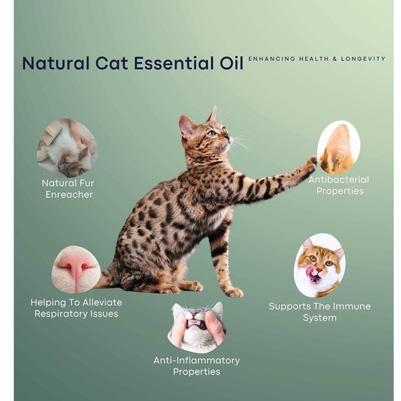 Essential Oil Lava rock Cat Calming Collar for cat - Picture 5 of 5